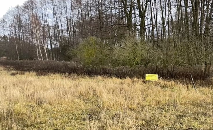 działka na sprzedaż - Pszczew, Silna