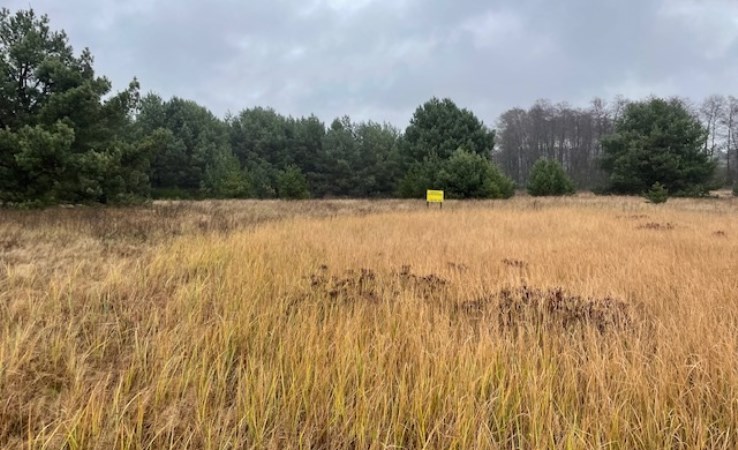 działka na sprzedaż - Pszczew, Silna