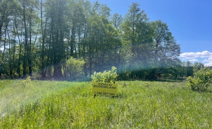 działka na sprzedaż - Pszczew, Silna